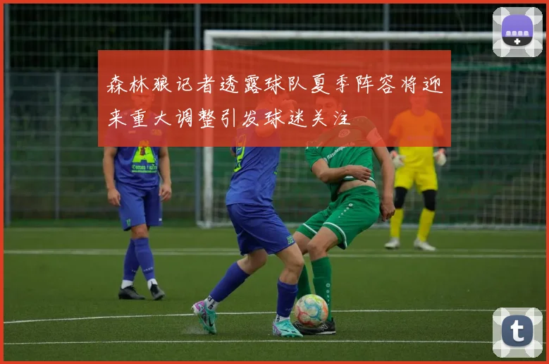 森林狼记者透露球队夏季阵容将迎来重大调整引发球迷关注
